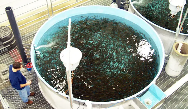 ras circular tank benefits ras circular tank benefits